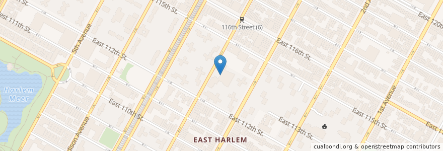 Mapa de ubicacion de James Weldon Johnson Community Center en États-Unis D'Amérique, New York, New York, New York County, Manhattan, Manhattan Community Board 11.