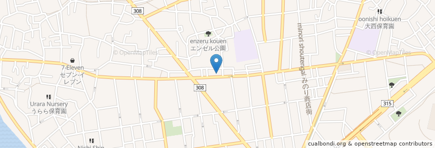 Mapa de ubicacion de 真田整形外科 en Япония, Токио, Кацусика.