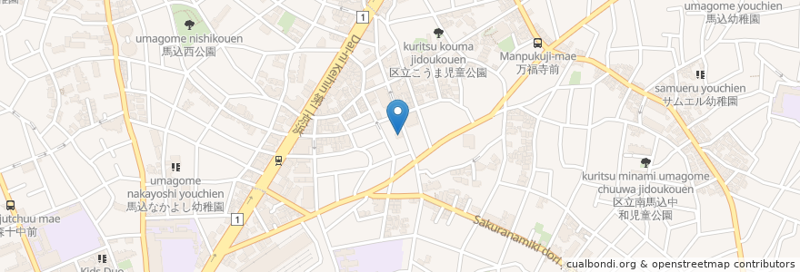 Mapa de ubicacion de 斉藤医院 en Япония, Токио, Ота.