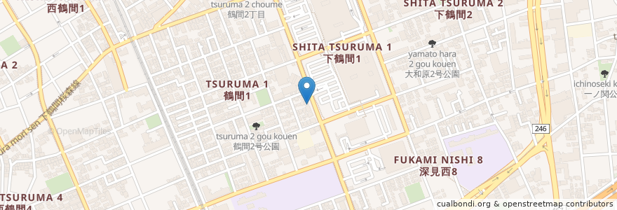 Mapa de ubicacion de たなか動物病院 en Japan, Präfektur Kanagawa, 大和市.