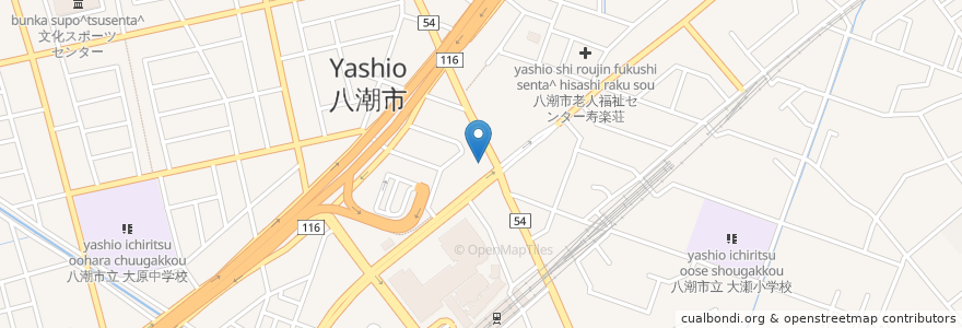 Mapa de ubicacion de 丸亀製麺 en ژاپن, 埼玉県, 八潮市.