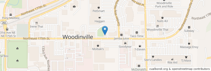 Mapa de ubicacion de Big Fish Grill en アメリカ合衆国, ワシントン州, King County, Woodinville.