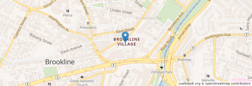 Mapa de ubicacion de Blue Bikes - Brookline Village - Station Street MBTA en 美利坚合众国/美利堅合眾國, 马萨诸塞州 / 麻薩諸塞州 / 麻省, Norfolk County, Suffolk County, Brookline.