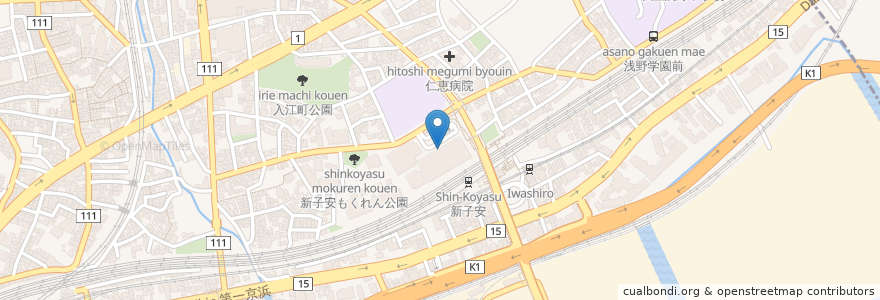 Mapa de ubicacion de 日本調剤 en Jepun, 神奈川県, 横浜市, 神奈川区.