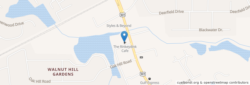 Mapa de ubicacion de The Rinkeydink Cafe en United States, Virginia, Petersburg.