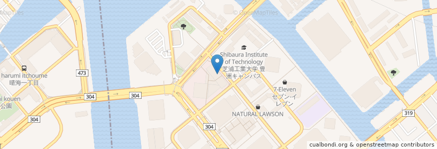 Mapa de ubicacion de ヒロデンタルクリニック en Japan, Tokyo, Koto.