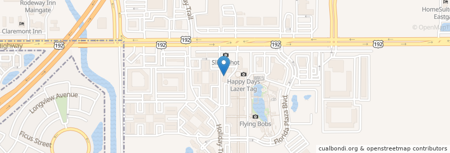 Mapa de ubicacion de Flippers Pizzeria en Amerika Syarikat, Florida, Osceola County.