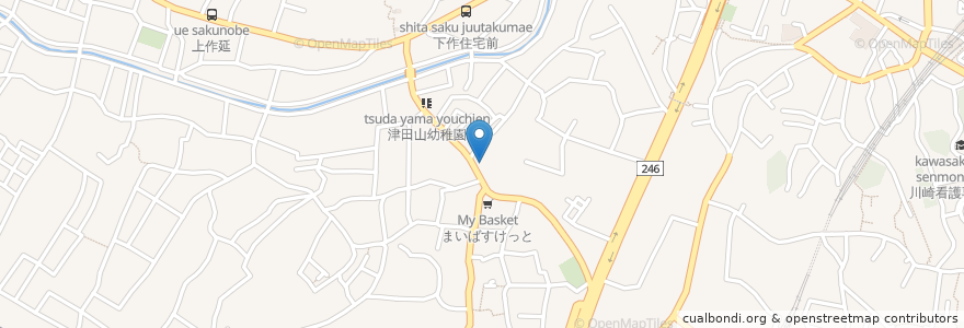 Mapa de ubicacion de セントラル薬局 en اليابان, كاناغاوا, 川崎市, 高津区.