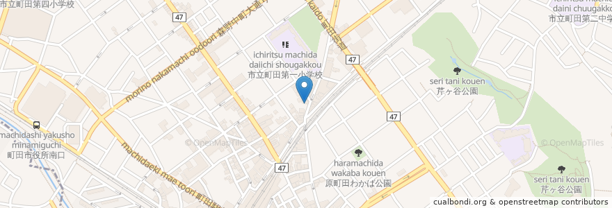 Mapa de ubicacion de CoCo壱番屋 en 일본, 도쿄도, 町田市.
