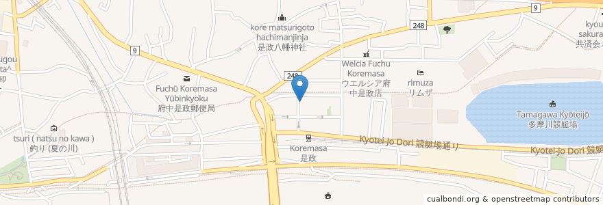 Mapa de ubicacion de 平林医院 en Japão, Tóquio, 府中市.