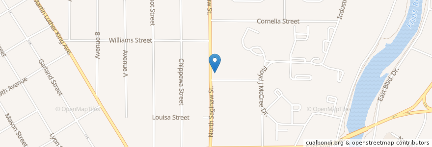 Mapa de ubicacion de Doyle School en United States, Michigan, Genesee County, Flint.