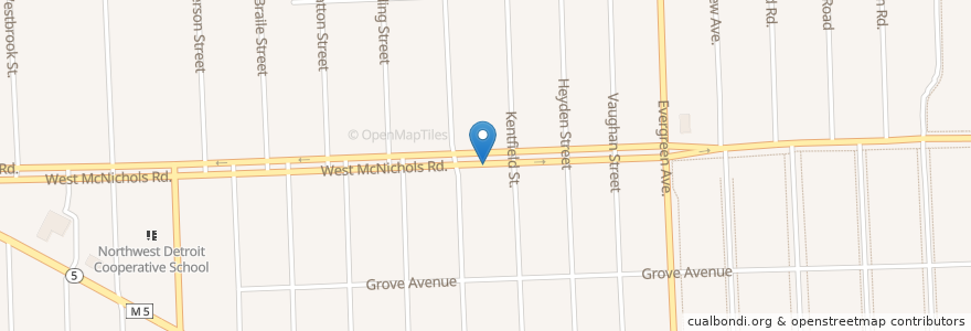 Mapa de ubicacion de Apostolic Church of God and Christ Jesus en 미국, 미시간, Wayne County, Detroit.