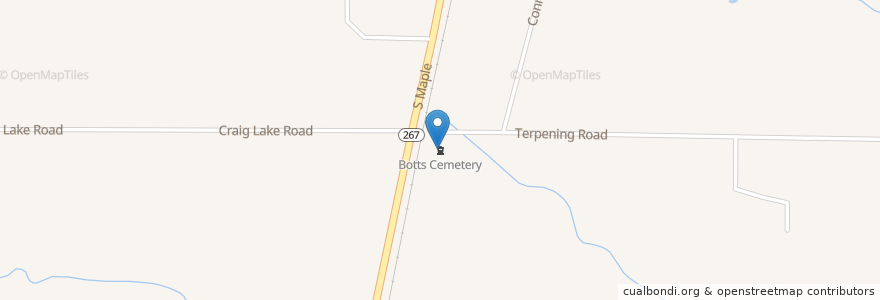 Mapa de ubicacion de Botts Cemetery en United States, Illinois, Jersey County.