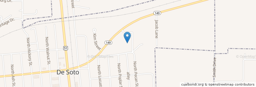 Mapa de ubicacion de De Soto Elementary School en United States, Illinois, Jackson County, De Soto.