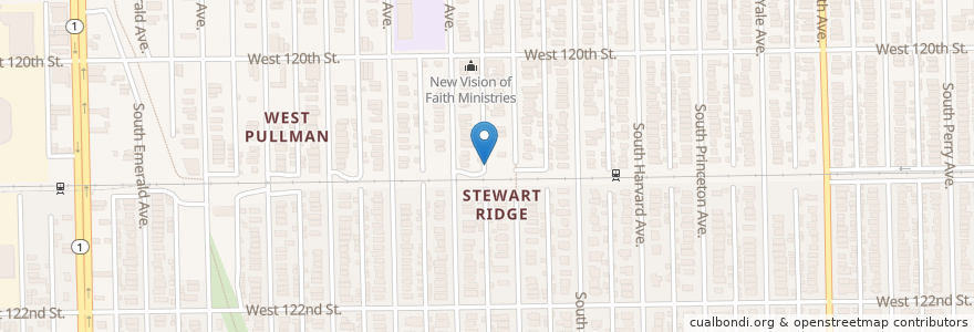 Mapa de ubicacion de Hyde Park African Methodist Episcopal Church en Stati Uniti D'America, Illinois, Chicago.