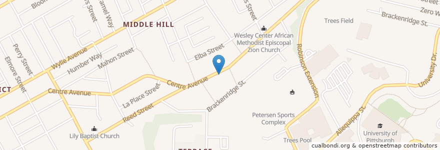 Mapa de ubicacion de New Light Temple Baptist Church en United States, Pennsylvania, Allegheny County, Pittsburgh.