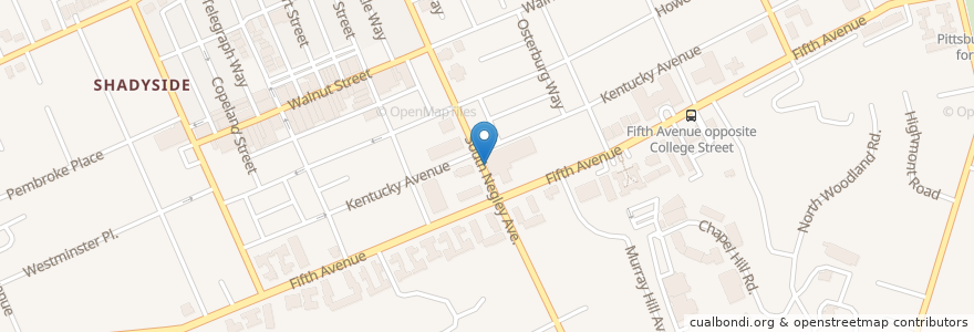 Mapa de ubicacion de Kentucky Avenue School en Estados Unidos De América, Pensilvania, Allegheny County, Pittsburgh.