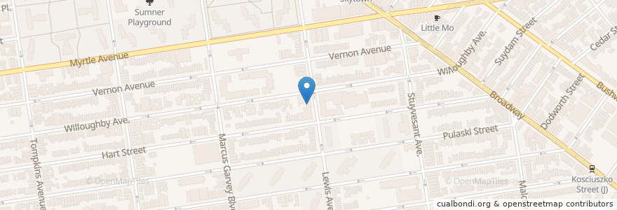 Mapa de ubicacion de Saint Johns Preparatory School en États-Unis D'Amérique, New York, New York, Brooklyn.