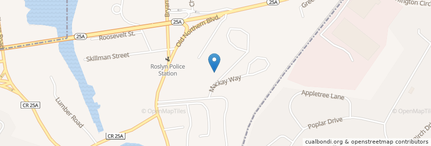 Mapa de ubicacion de Roslyn Village School en Estados Unidos De América, Nueva York, Nassau County, Roslyn.