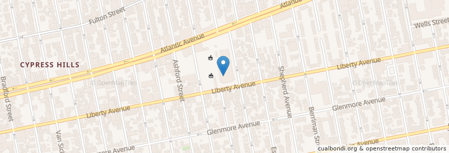 Mapa de ubicacion de Intermediate School 302 en 美利坚合众国/美利堅合眾國, 纽约州 / 紐約州, 纽约, Brooklyn.