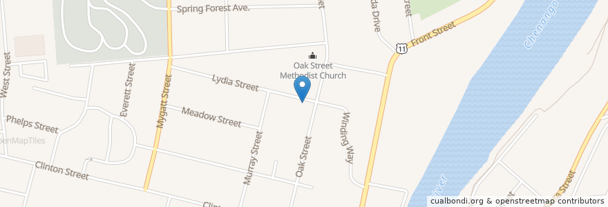 Mapa de ubicacion de Trinity African Methodist Episcopal Zion Church en Amerika Syarikat, New York, Broome County, Binghamton.