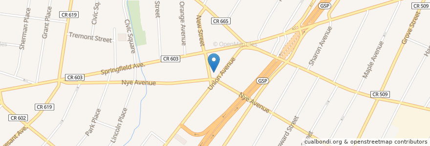 Mapa de ubicacion de Irvington United Methodist Church en Estados Unidos De América, Nueva Jersey, Essex County, Irvington.