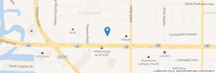 Mapa de ubicacion de Lutheran Church of Our Saviour en Соединённые Штаты Америки, Флорида, Hillsborough County.