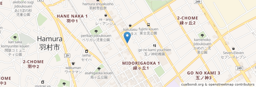 Mapa de ubicacion de 中野歯科医院 en Giappone, Tokyo, 羽村市.