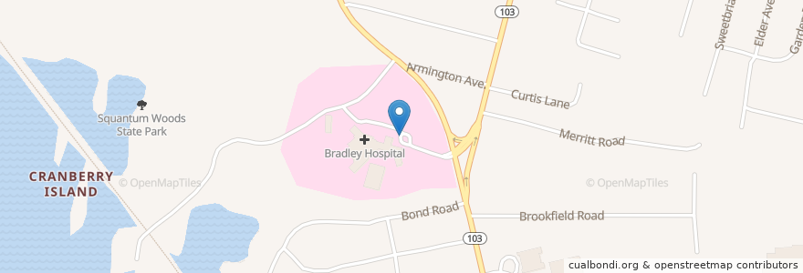 Mapa de ubicacion de Austin T and June Rockwell Levy Library en Vereinigte Staaten Von Amerika, Rhode Island, Providence County, East Providence.