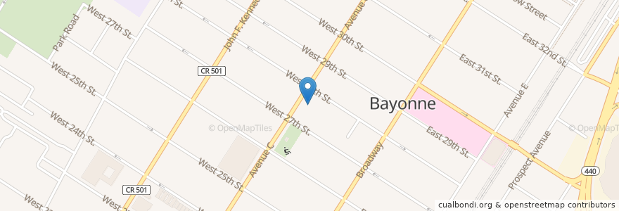 Mapa de ubicacion de Bayonne Hazardous Materials Company 1 en Verenigde Staten, New Jersey, Hudson County, Bayonne.