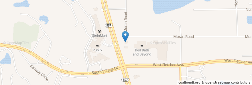Mapa de ubicacion de Carrollwood Fire Department Station 19 en United States, Florida, Hillsborough County.