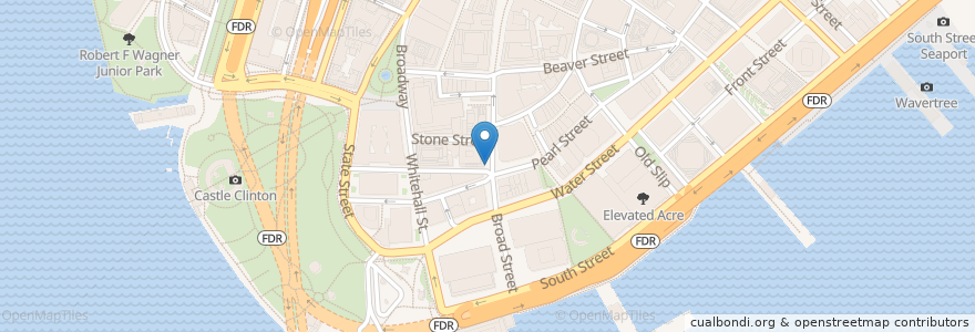 Mapa de ubicacion de Citi Bike - Broad St & Bridge St en 美利坚合众国/美利堅合眾國, 纽约州 / 紐約州, 纽约, 纽约县, Manhattan Community Board 1.