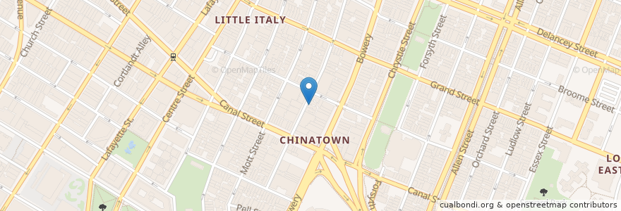Mapa de ubicacion de Citi Bike - Elizabeth St & Hester St en Estados Unidos De América, Nueva York, Nueva York, New York County, Manhattan, Manhattan Community Board 3, Manhattan Community Board 2.