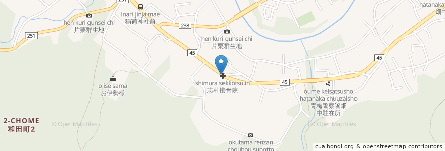 Mapa de ubicacion de 志村接骨院 en Japón, Tokio, Ome.