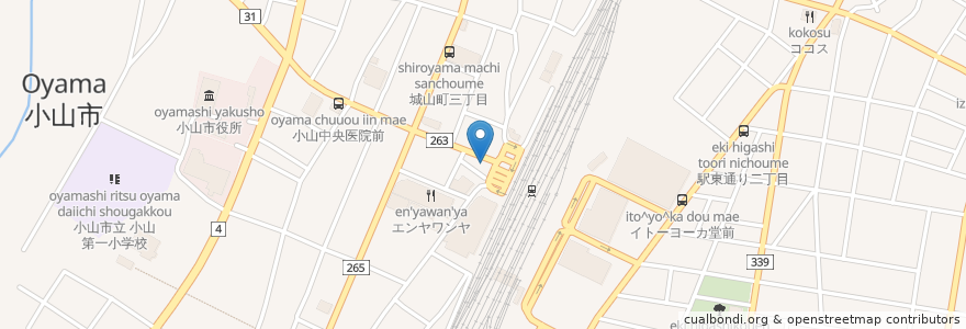 Mapa de ubicacion de タイムズ小山中央ステーション en Japan, Tochigi Prefecture, Oyama.