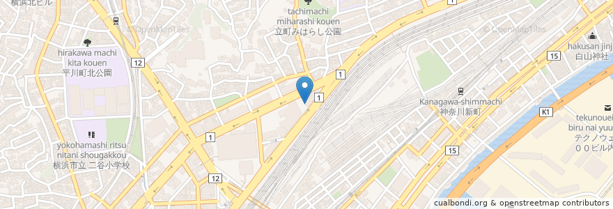 Mapa de ubicacion de 慶成なでしこ薬局 en 일본, 가나가와현, 요코하마시, 神奈川区.