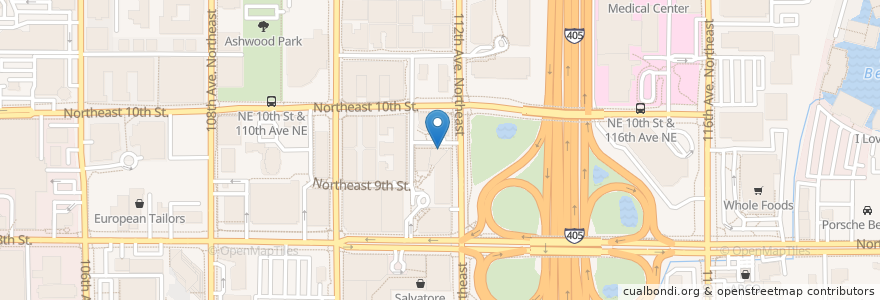 Mapa de ubicacion de Da Vinci Dental en Amerika Syarikat, Washington, King County, Bellevue.