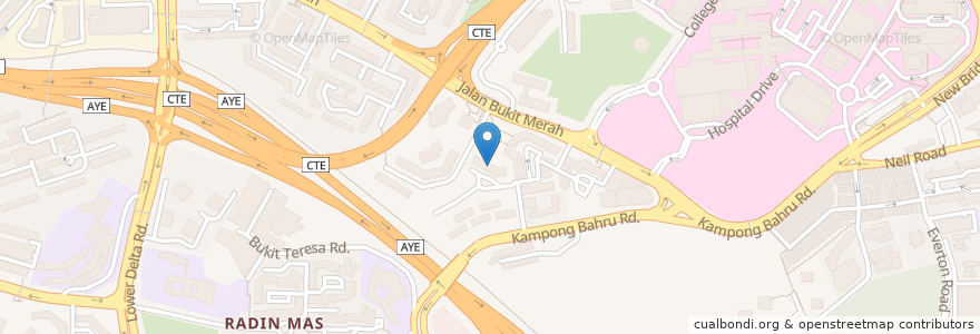 Mapa de ubicacion de Tanjong Pagar Neighbourhood Police Post en Singapour, Central.
