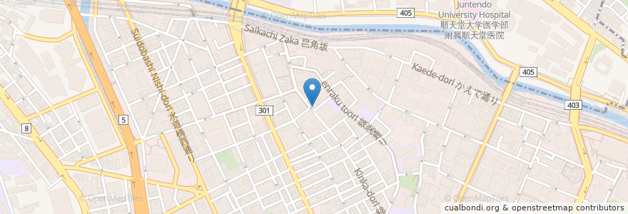 Mapa de ubicacion de サイノ en 日本, 東京都, 千代田区.