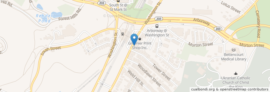 Mapa de ubicacion de Forest Hills Check Cashing en Stati Uniti D'America, Massachusetts, Suffolk County, Boston.