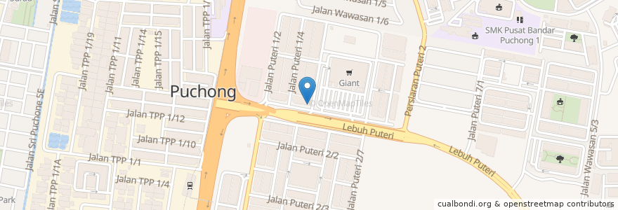 Mapa de ubicacion de Citibank Puchong Branch en Malaysia, Selangor, Subang Jaya City Council.