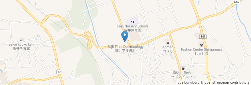 Mapa de ubicacion de 藤井平皮膚科 en Japonya, 山梨県, 韮崎市.