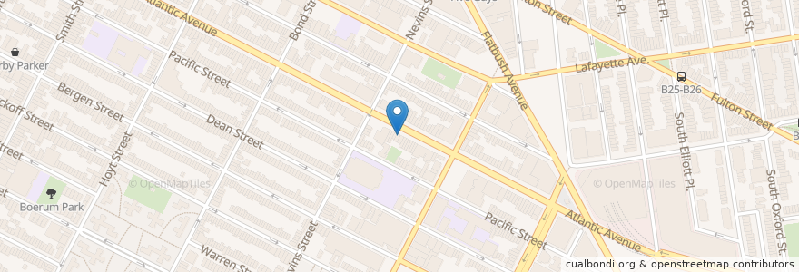 Mapa de ubicacion de Brooklyn Robot Foundry en United States, New York, New York, Brooklyn.