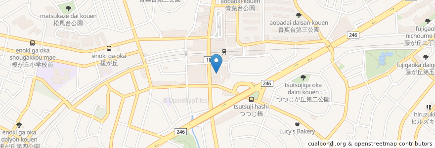 Mapa de ubicacion de 岩井皮膚科 en اليابان, كاناغاوا, 横浜市, 青葉区.