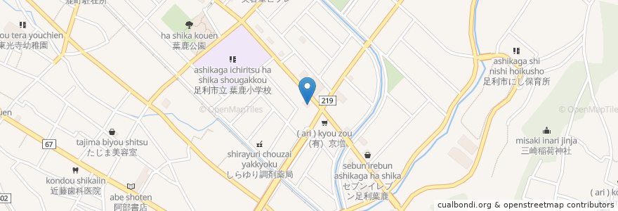 Mapa de ubicacion de CoCo壱番屋 足利葉鹿店 en Japan, 栃木県, 足利市.