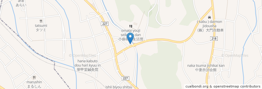 Mapa de ubicacion de 大川歯科医院 en Japón, Prefectura De Tochigi, 足利市.