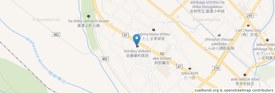 Mapa de ubicacion de 近藤歯科医院 en Japan, Präfektur Gunma, 足利市.