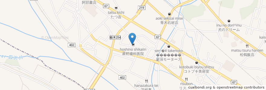 Mapa de ubicacion de 星野歯科医院 en Japan, Gunma Prefecture, Ashikaga.