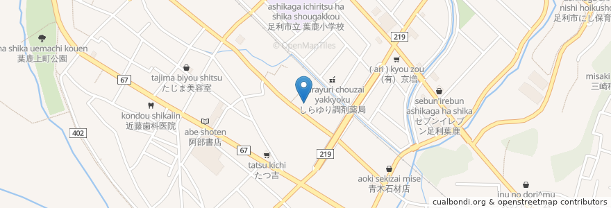 Mapa de ubicacion de 山口整骨院 en Giappone, Prefettura Di Tochigi, 足利市.