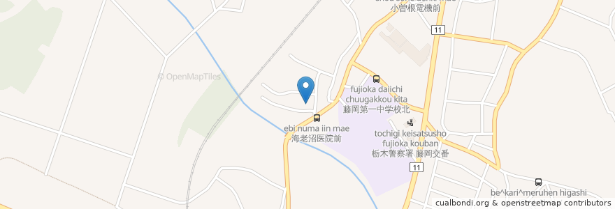 Mapa de ubicacion de 海老沼医院 en 日本, 栃木県, 栃木市.